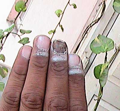 Sarangi Fingers