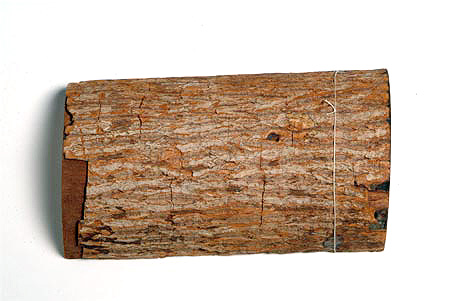 The bark of the cinchona tree